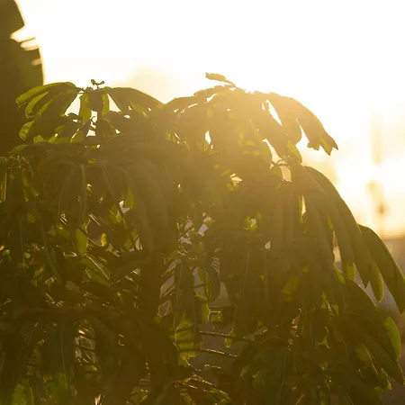 Sal Marina Premium فيلة