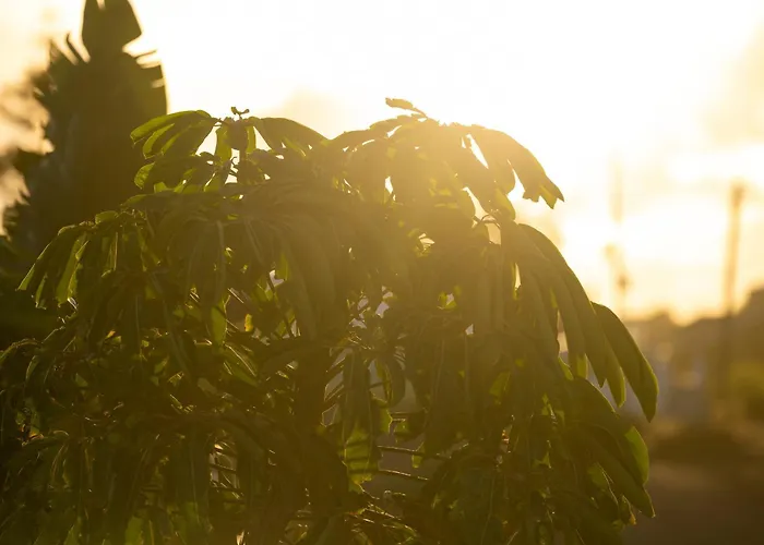 Sal Marina Premium فيلة